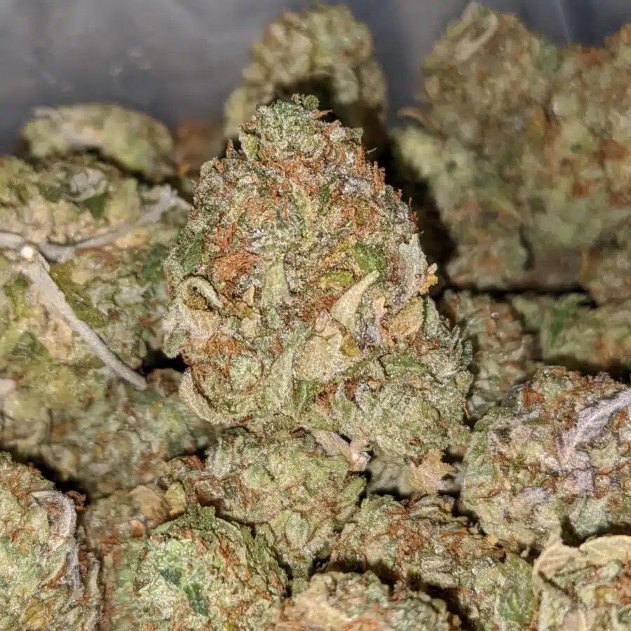 kush mints dod 1 I Rockstar Bubba Bulk Special