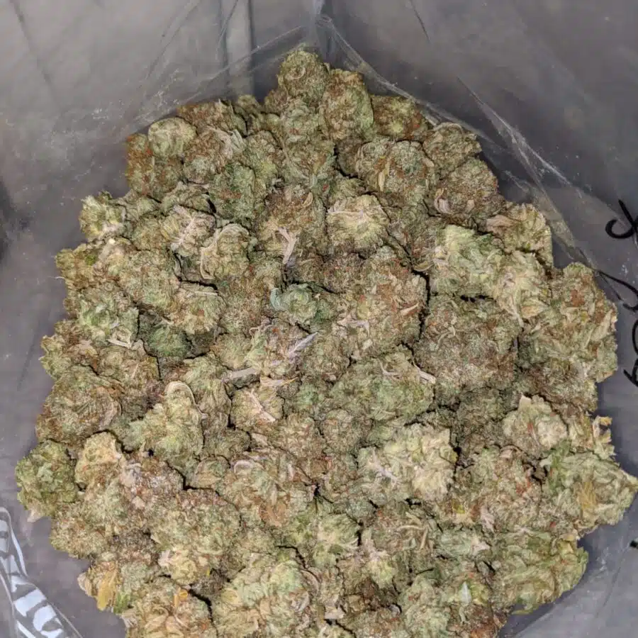 Rockstar Bubba Bulk Special