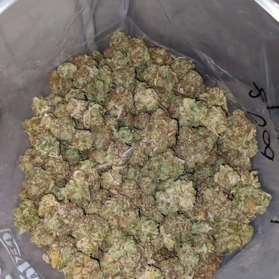 kush mints dod 4 I Rockstar Bubba Bulk Special
