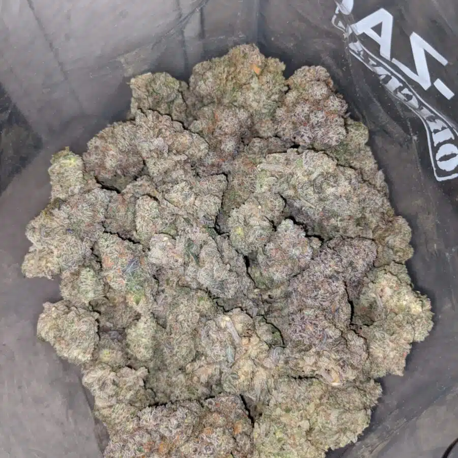 kush mintz dod 3 1 I Kush Mintz - *Deal Of The Day