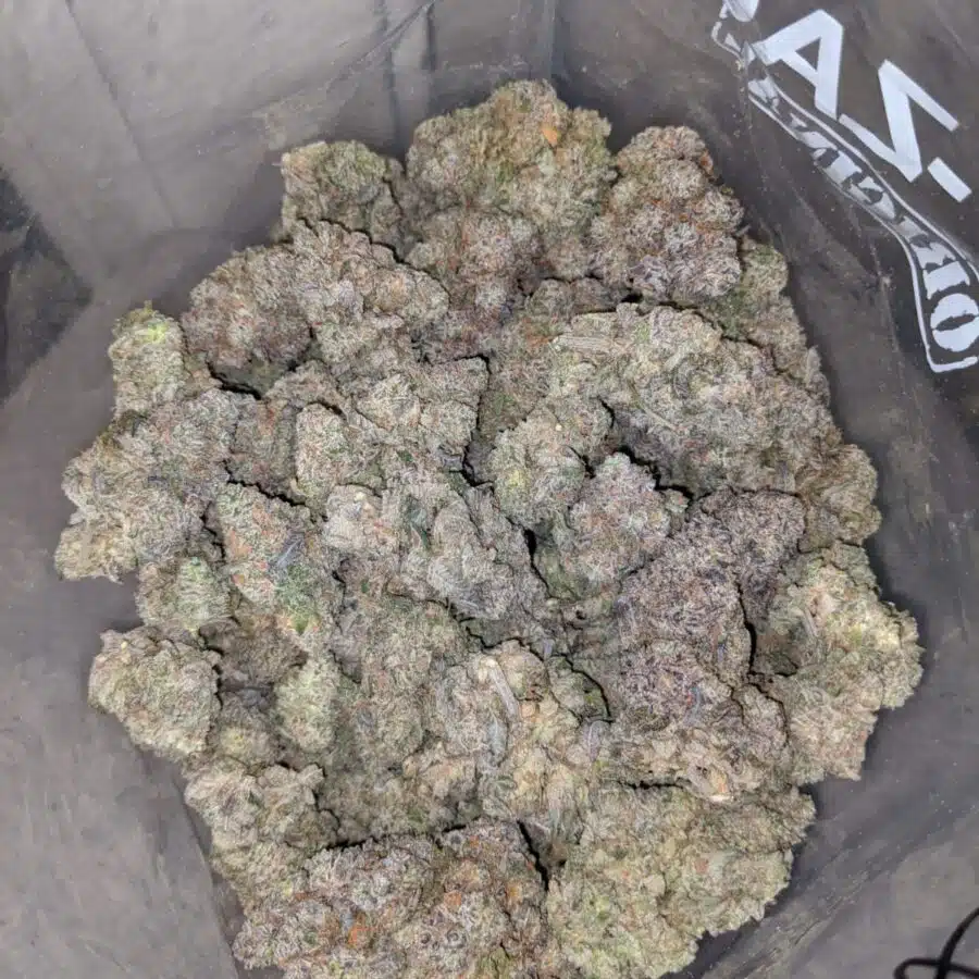 kush mintz dod 4 1 I Kush Mintz - *Deal Of The Day