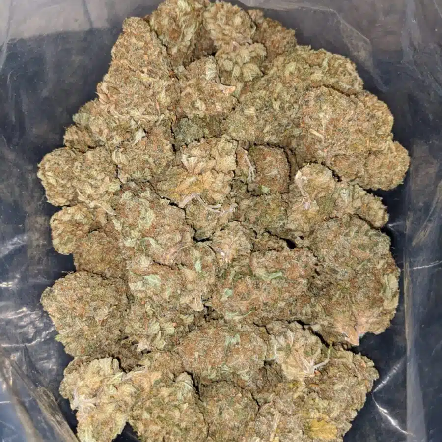 lemon thai bulk special 3 I Lemon Thai Bulk Special