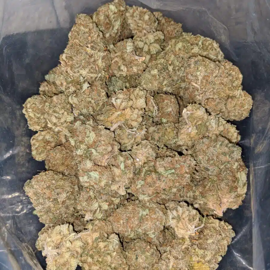 lemon thai bulk special 4 I Lemon Thai Bulk Special