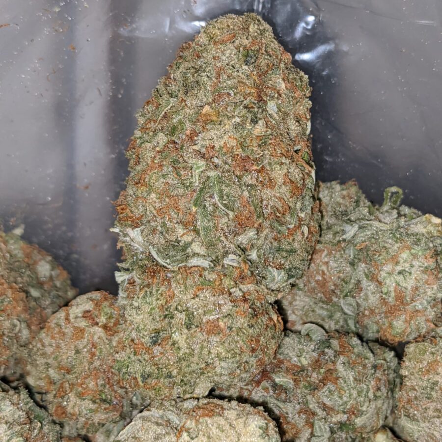 mango haze 1 I Mango Haze