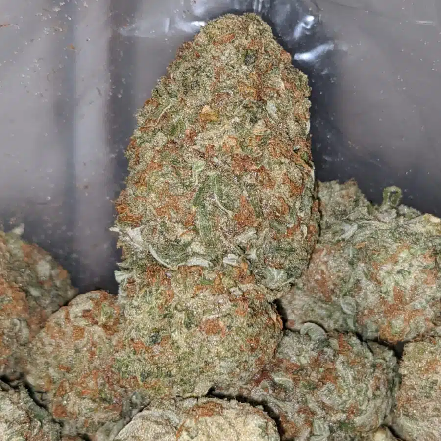 mango haze 1 I Mango Haze