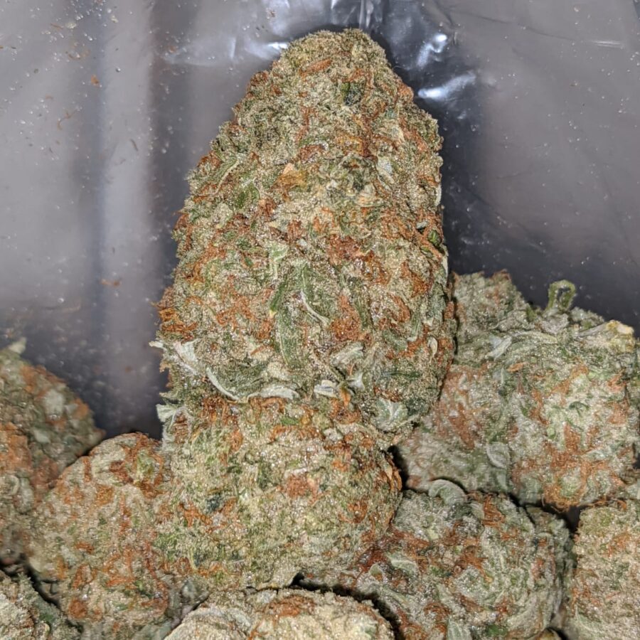 mango haze 2 I Mango Haze