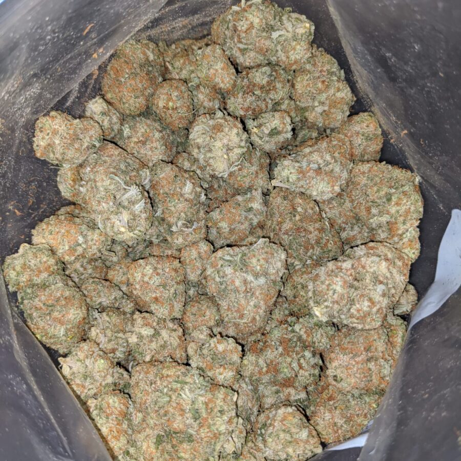 mango haze 3 I Mango Haze