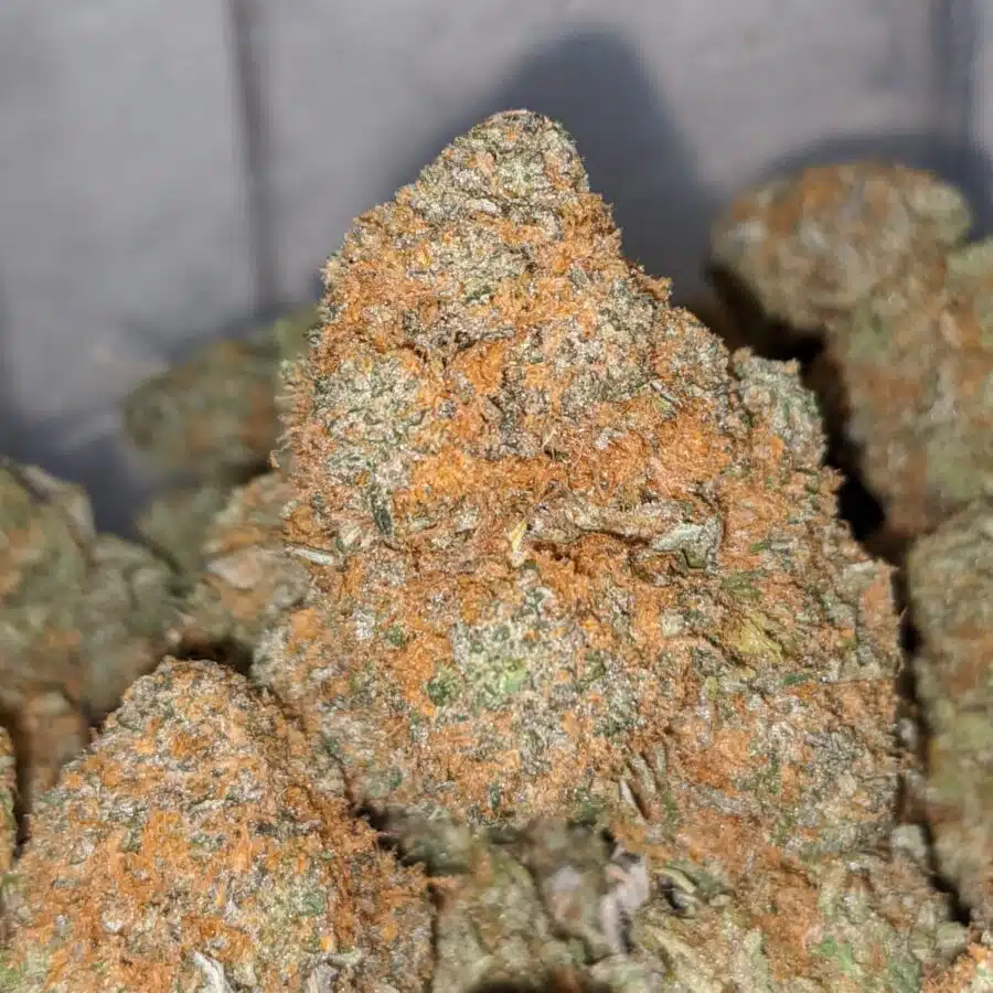 nyc diesel 2 I NYC Diesel