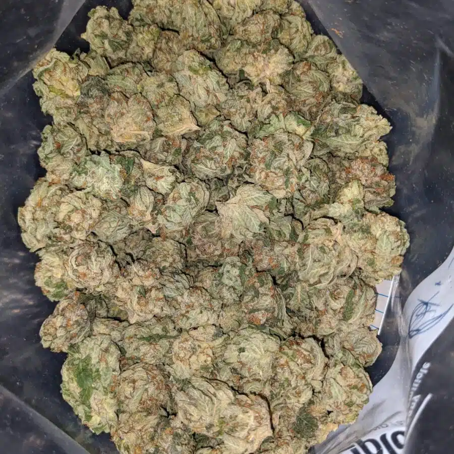 og kush deal of the day 1 I OG Kush - *Deal of the Day*