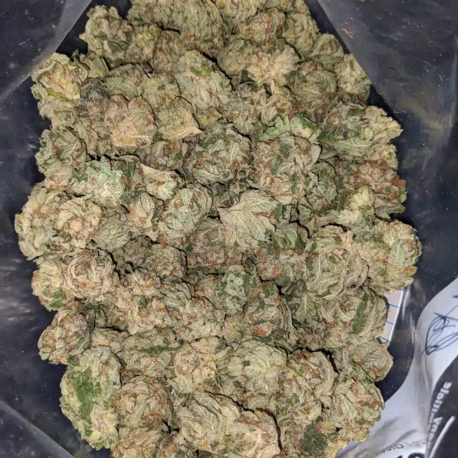 og kush deal of the day 2 I OG Kush - *Deal of the Day*