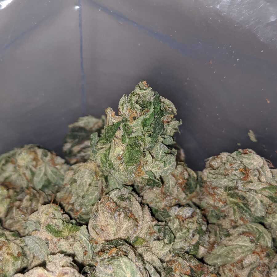 OG Kush - *Deal of the Day* - Image 4