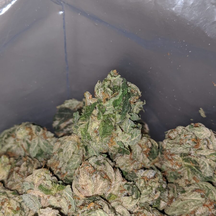 OG Kush - *Deal of the Day* - Image 7