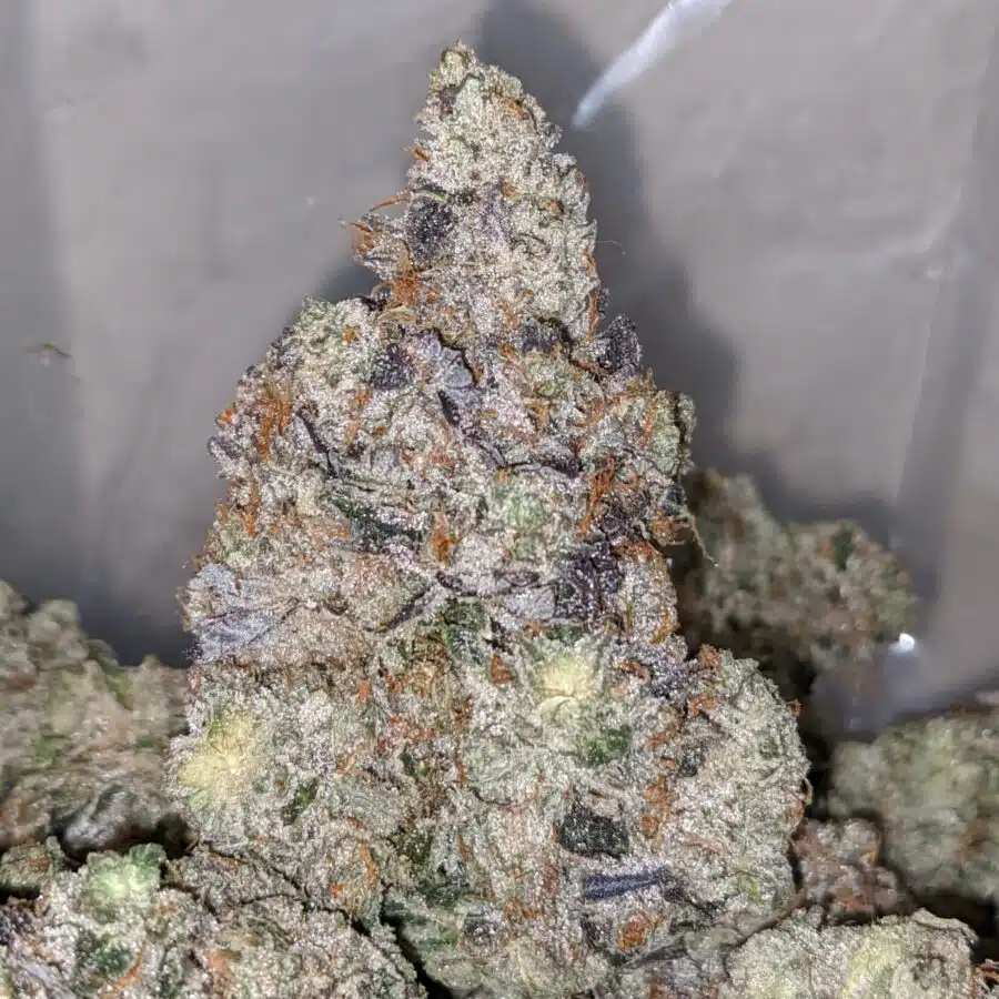 Alternative view of Pink Panther AAAA+