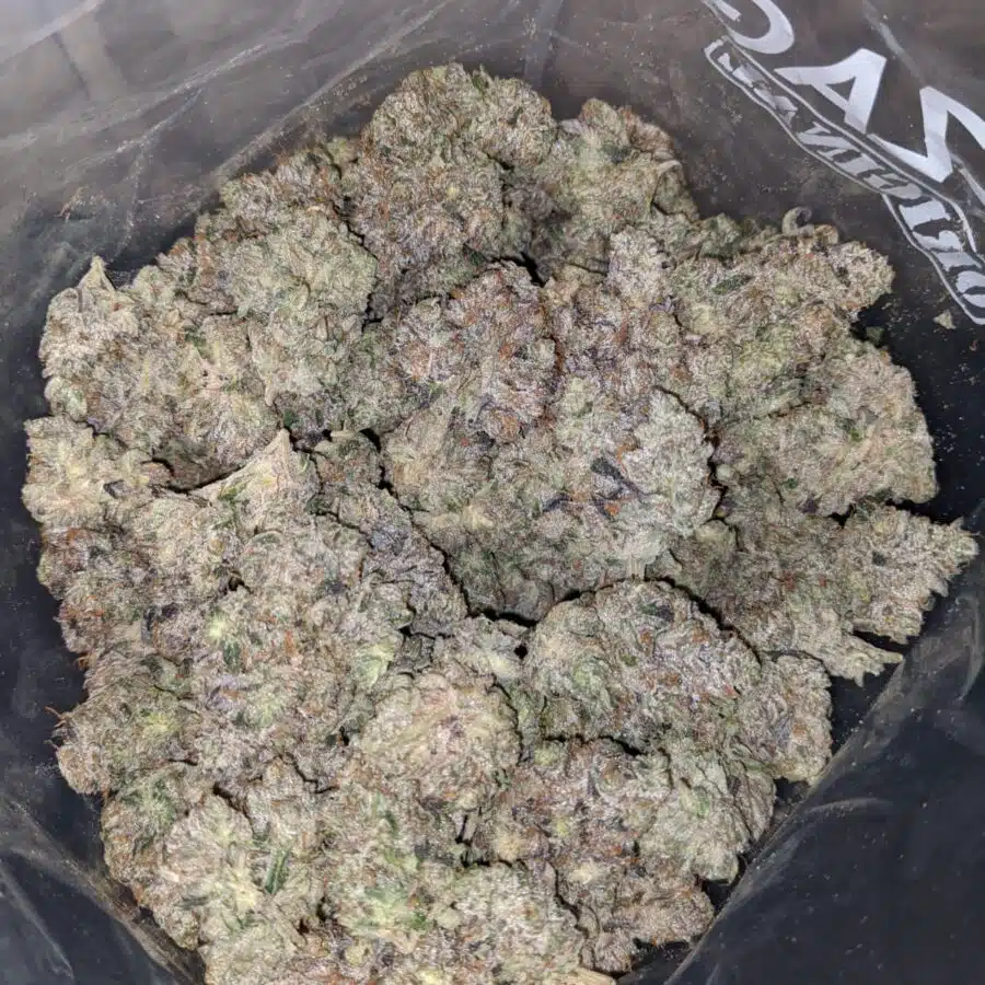 pink panther aaaa 3 I Pink Panther AAAA+