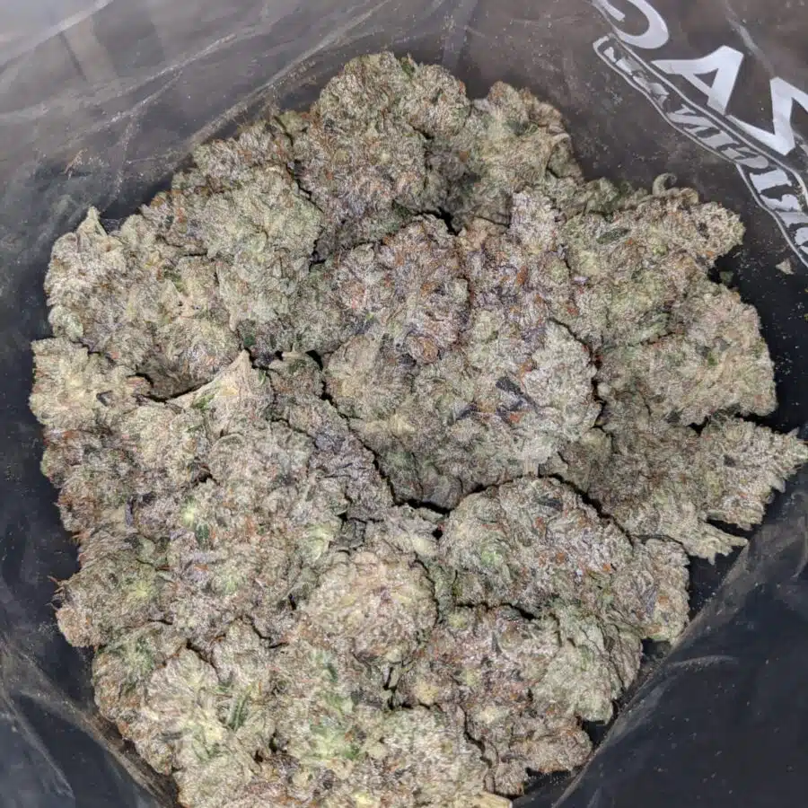 Pink Panther AAAA+