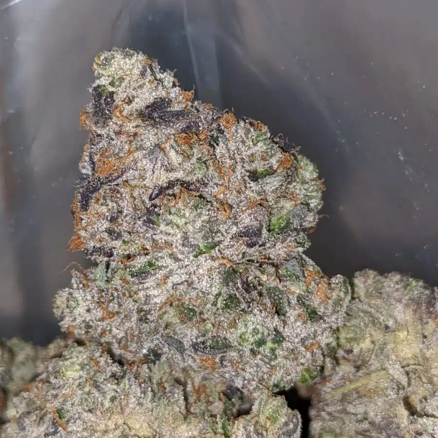 pink star aaaa 1 I Pink Star AAAA+