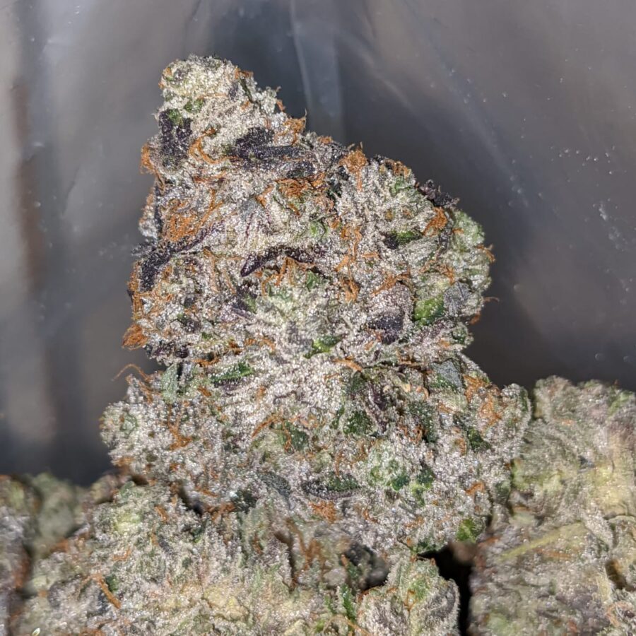 pink star aaaa 2 I Pink Star AAAA+