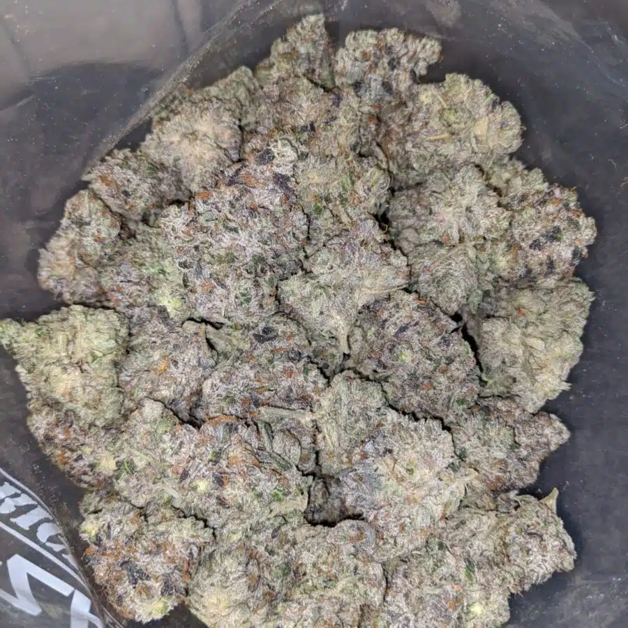 pink star aaaa 3 I Pink Star AAAA+