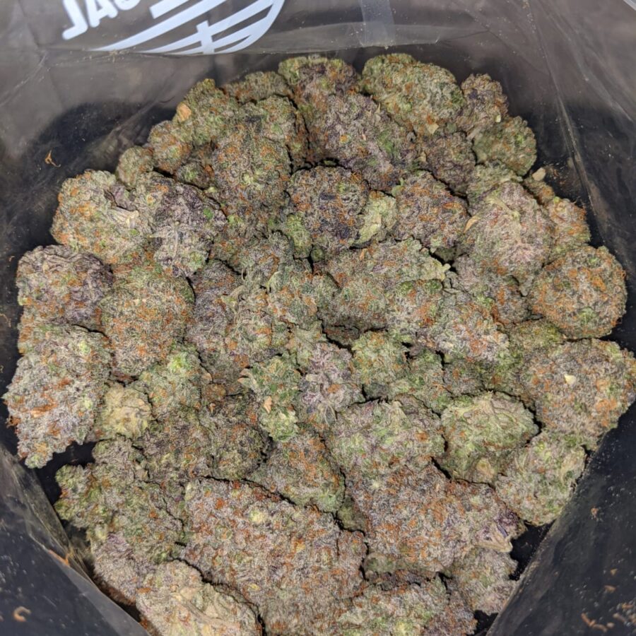 pink starburst 3 I Pink Starlord
