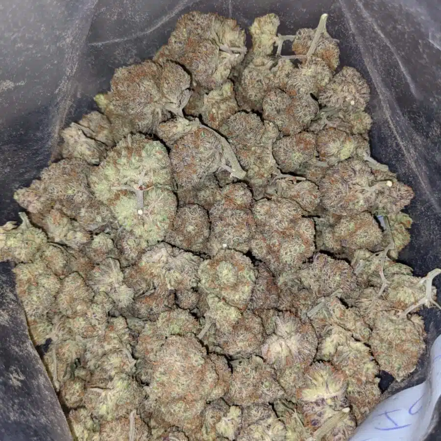 platinum blackberry 3 I $61 Oz - Platinum Blackberry