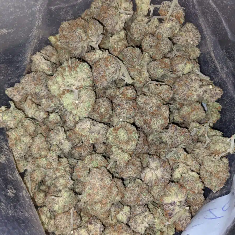 platinum blackberry 4 I $61 Oz - Platinum Blackberry