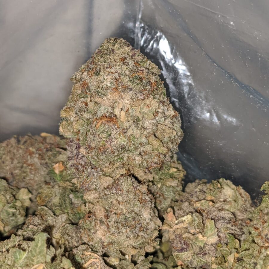 purple cosmic 1 I Purple Cosmic