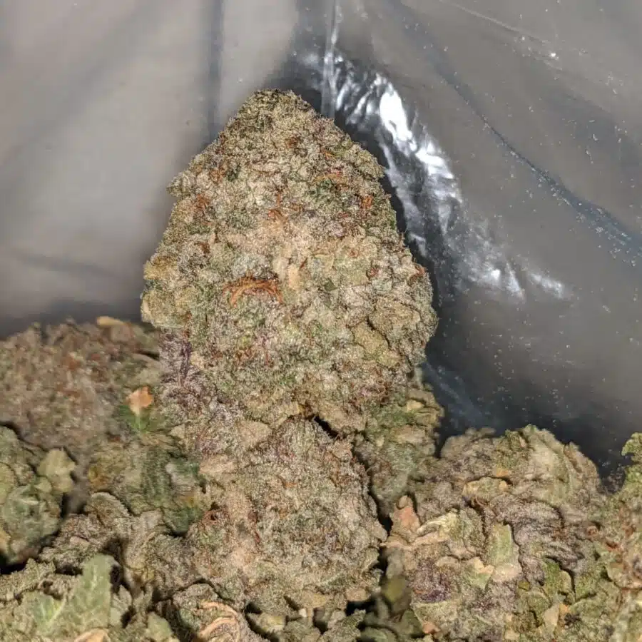 purple cosmic 1 I Purple Cosmic