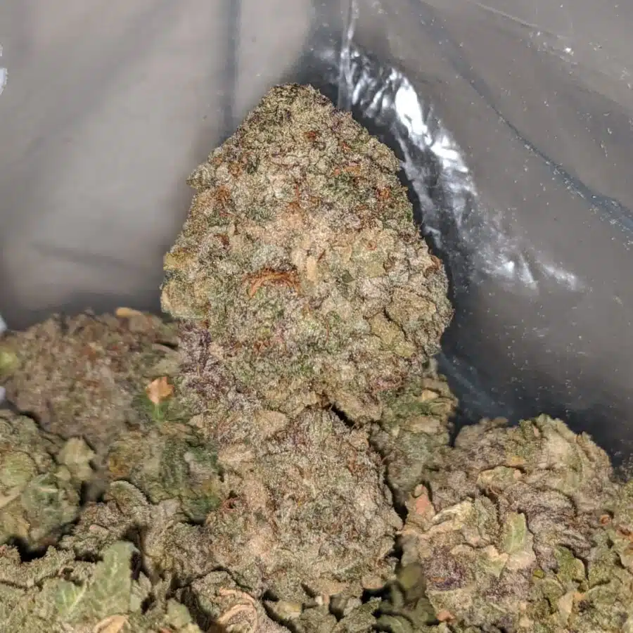 purple cosmic 2 I Purple Cosmic