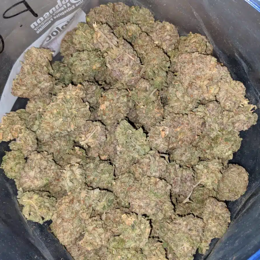 purple cosmic 3 I Purple Cosmic