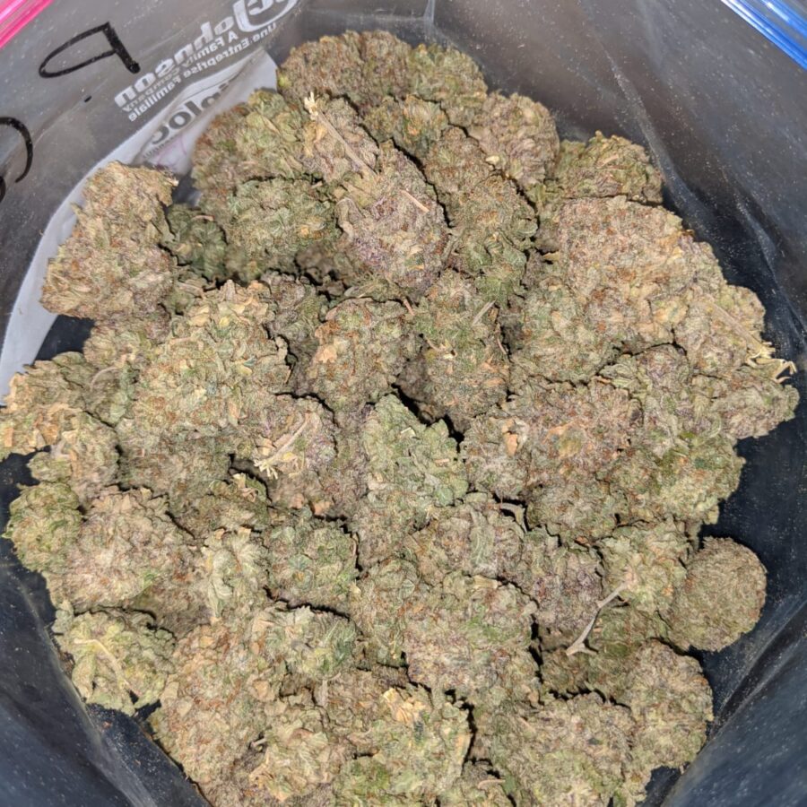 purple cosmic 4 I Purple Cosmic