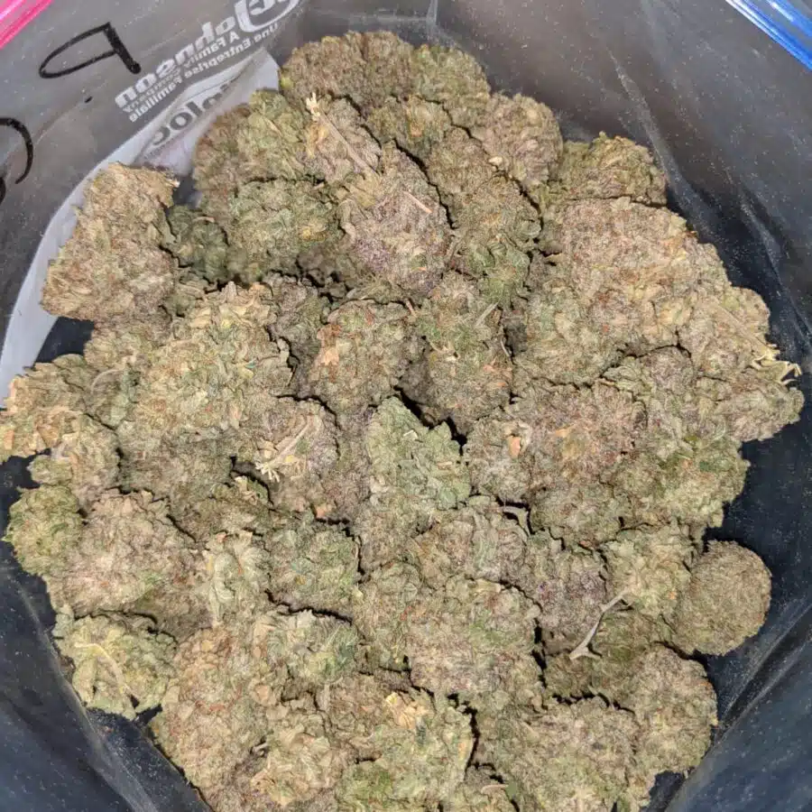 purple cosmic 4 I Purple Cosmic