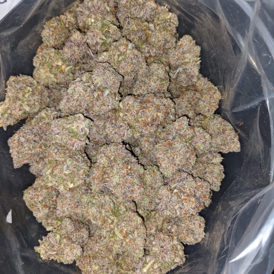 purple devil 2 I Purple Devil