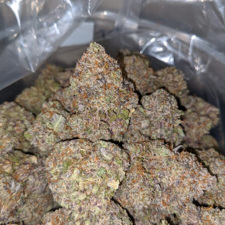 purple devil 3 I Purple Devil