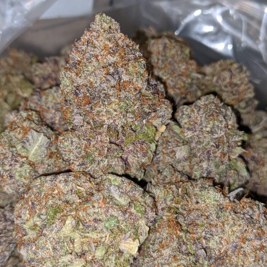 purple devil 4 I Purple Devil