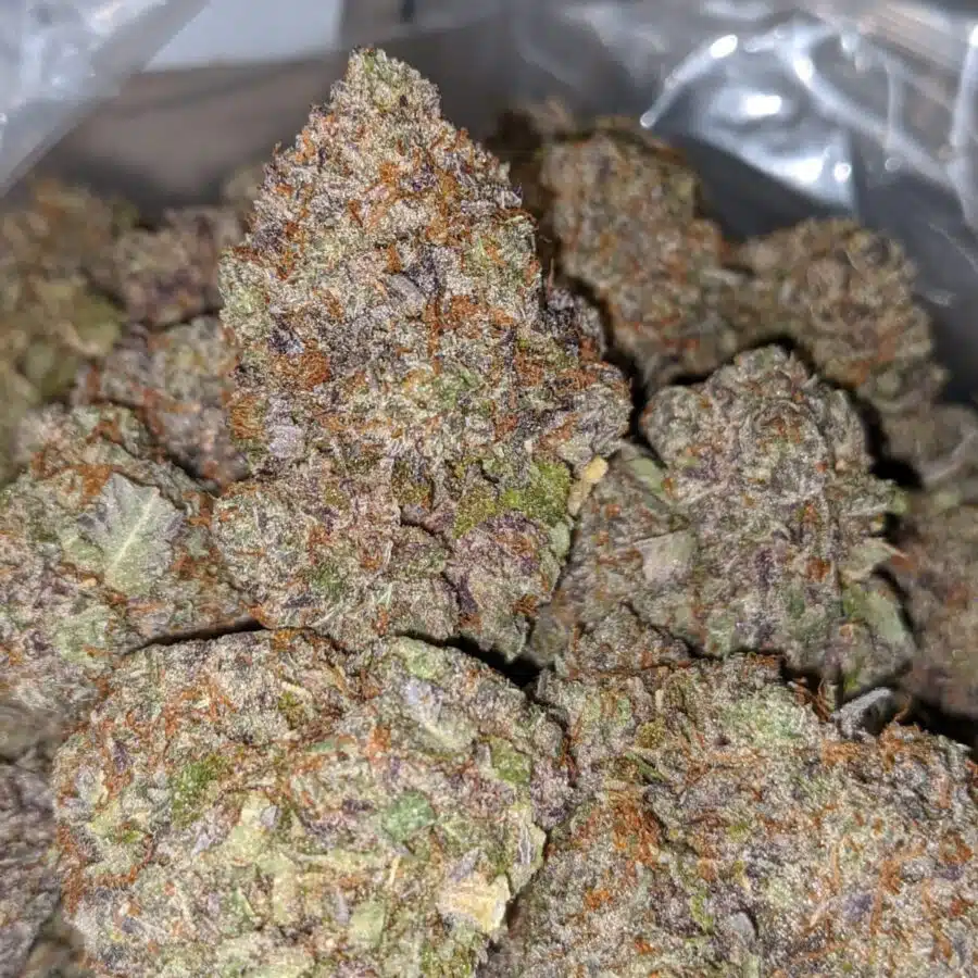 purple devil 4 I Purple Devil