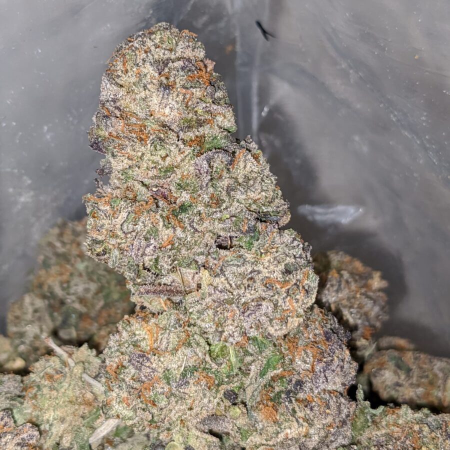 Purple Diesel - Image 4