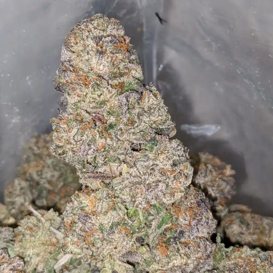 purple diesel 1 I Purple Diesel