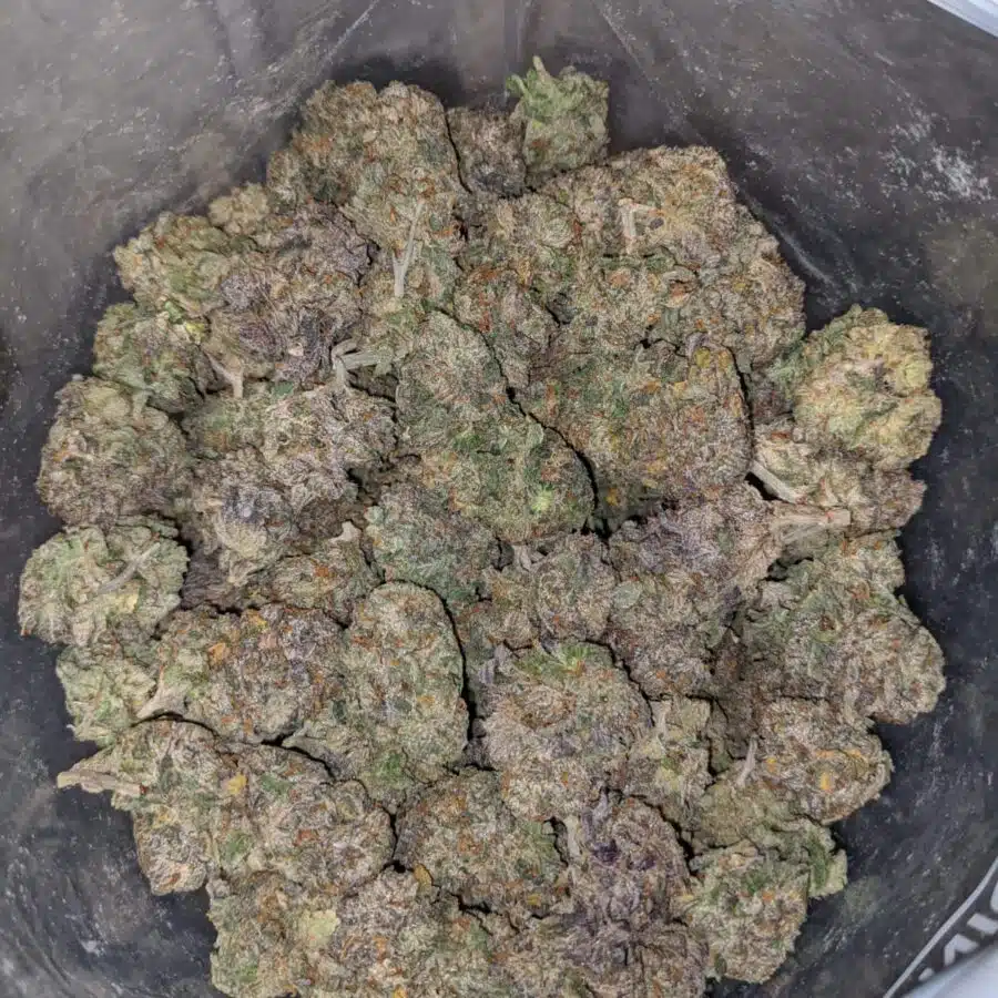 purple diesel 3 I Purple Diesel