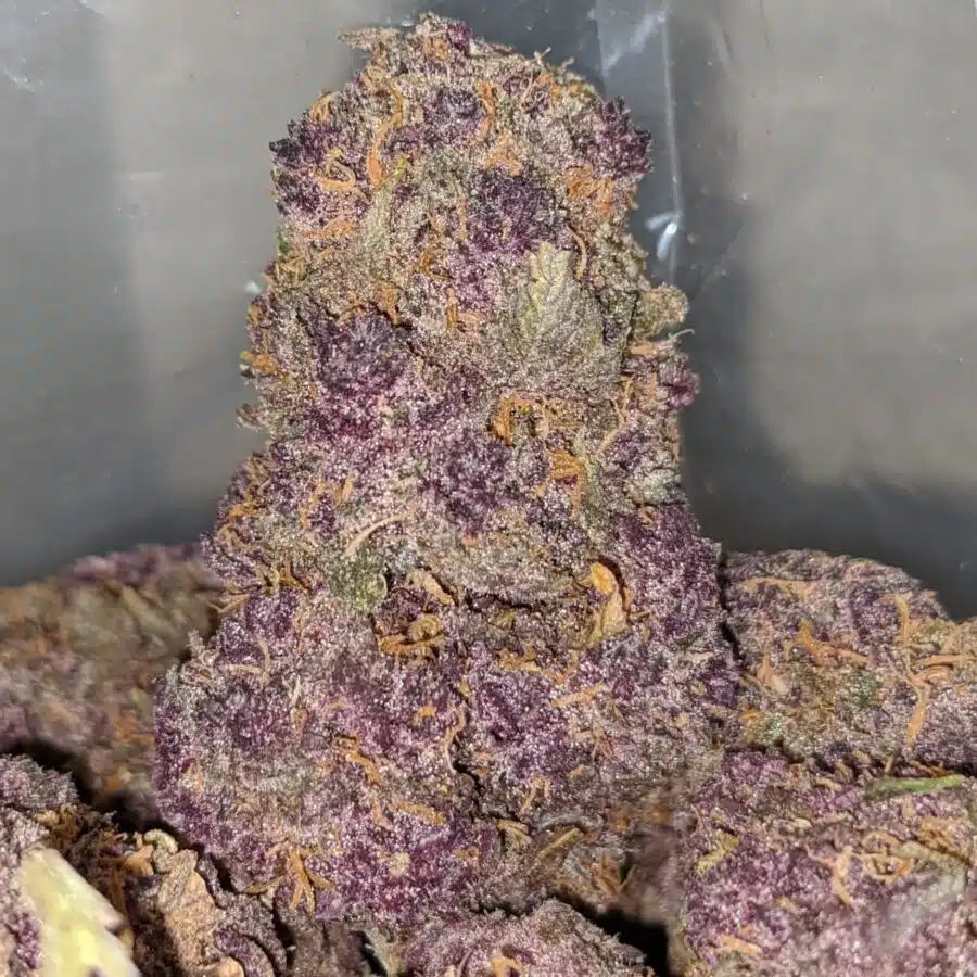 purple huckleberry 2 I Sweet Island Haze