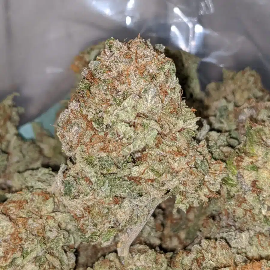 purple octane dod 1 I Sweet Octane x Thunder Cookies