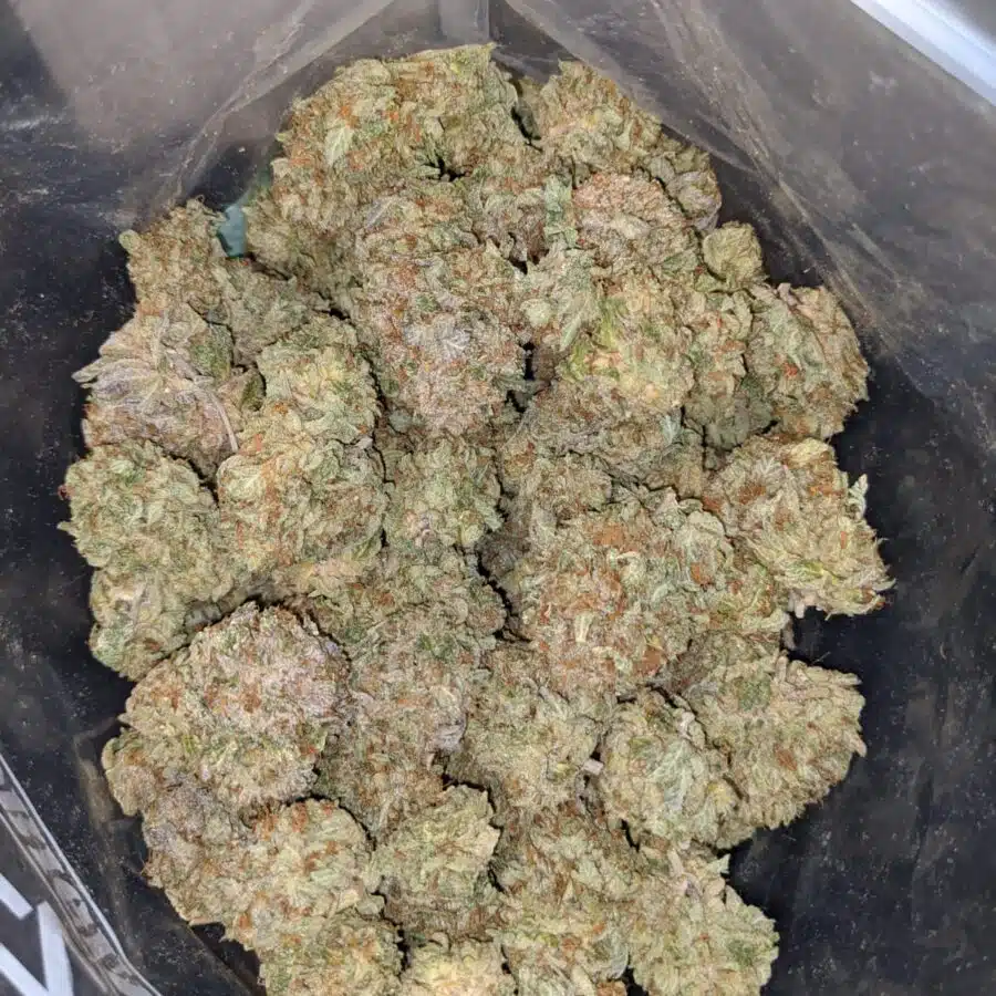 purple octane dod 3 I Sweet Octane x Thunder Cookies