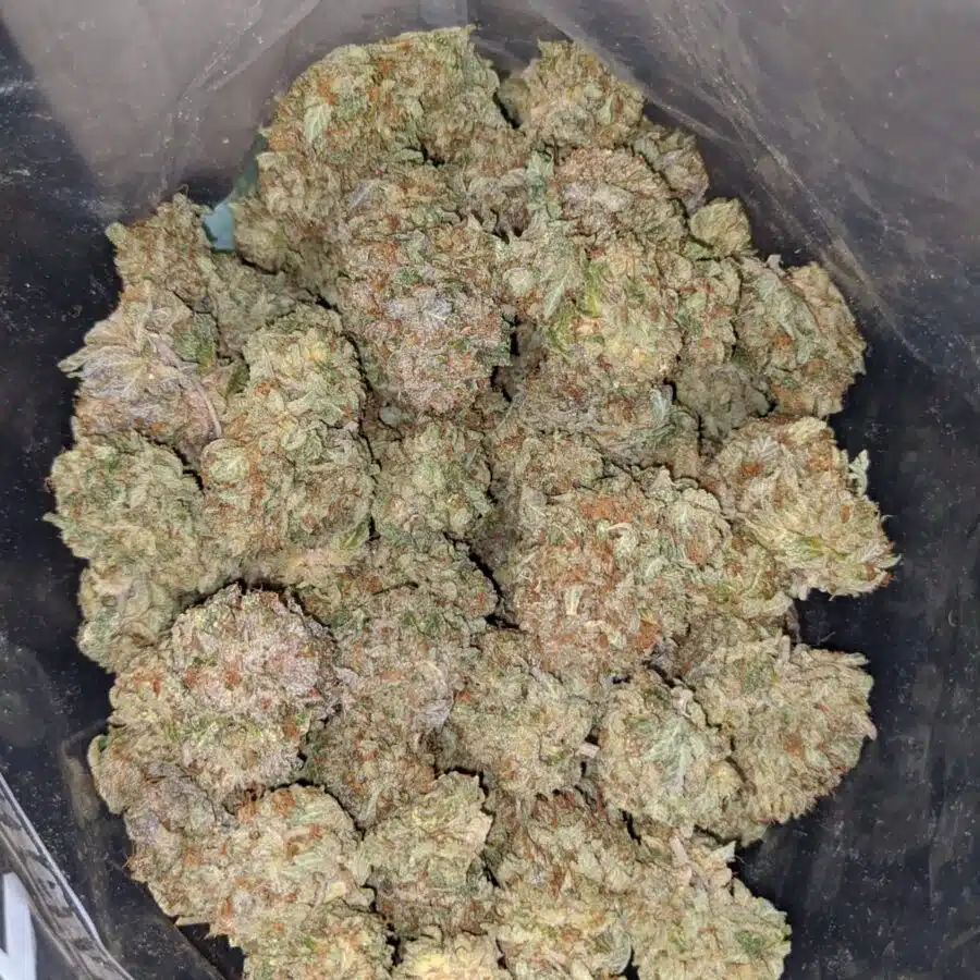 purple octane dod 4 I Sweet Octane x Thunder Cookies
