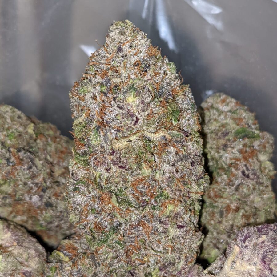 purple tuna aaaa 1 I Purple Tuna AAAA+