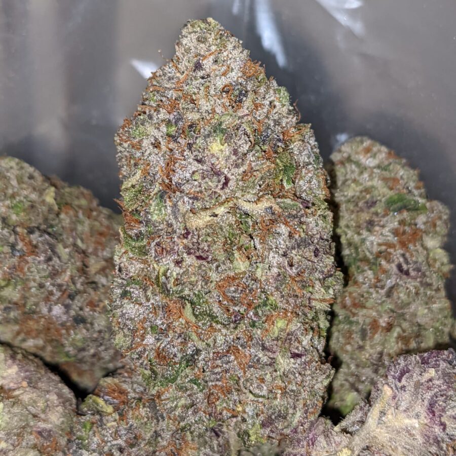 purple tuna aaaa 2 I Purple Tuna AAAA+