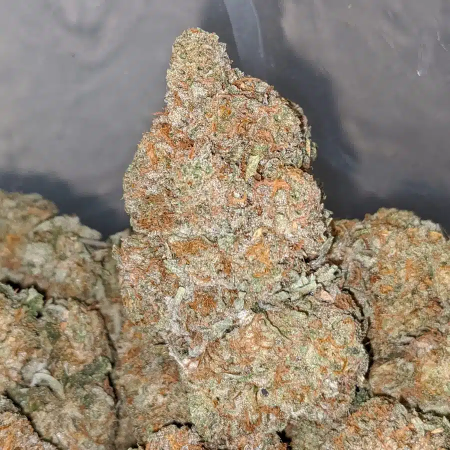 racefuel og dod 1 I Racefuel OG - *Deal Of The Day*