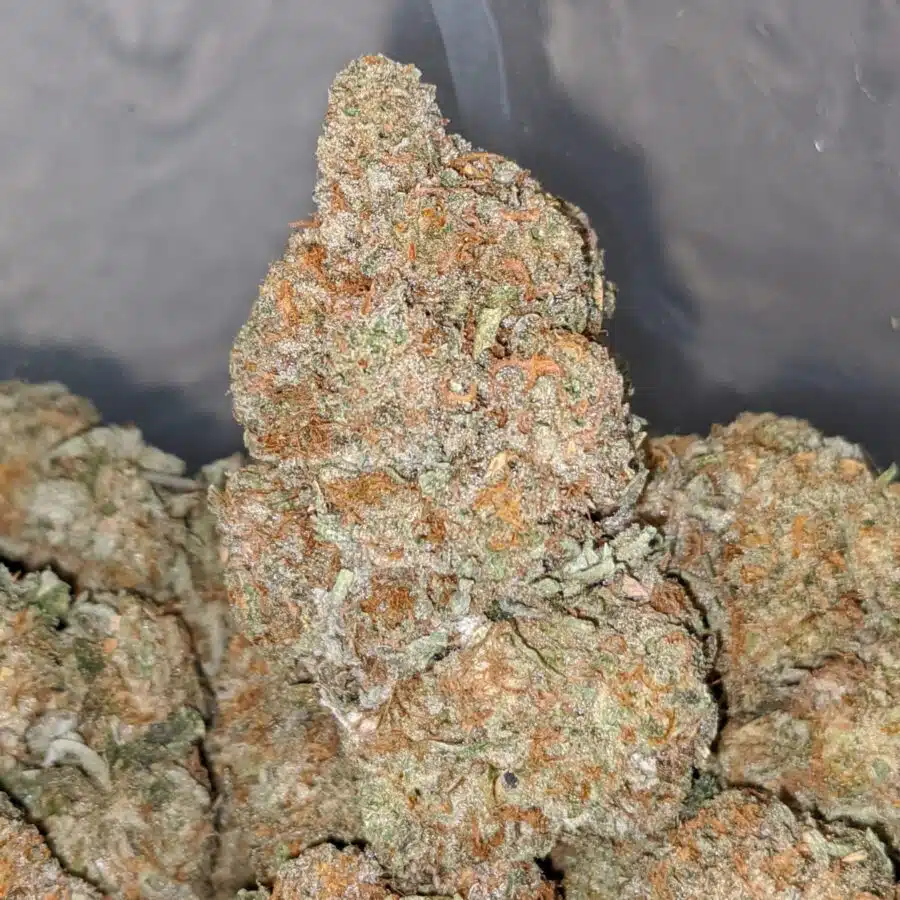 racefuel og dod 2 I Racefuel OG - *Deal Of The Day*