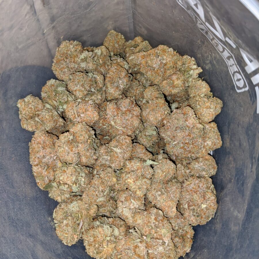 racefuel og dod 3 I Racefuel OG - *Deal Of The Day*