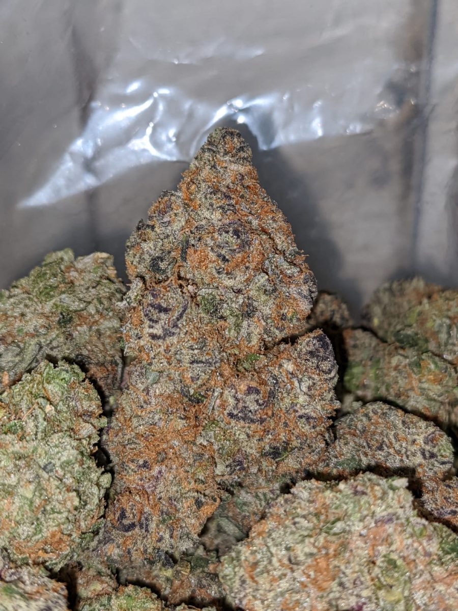 Skittlez - *Deal Of The Day*