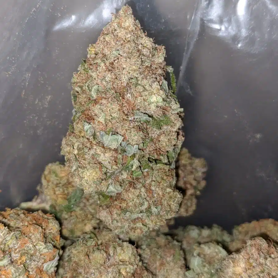 snow white 3 I $62 Oz - Snow White