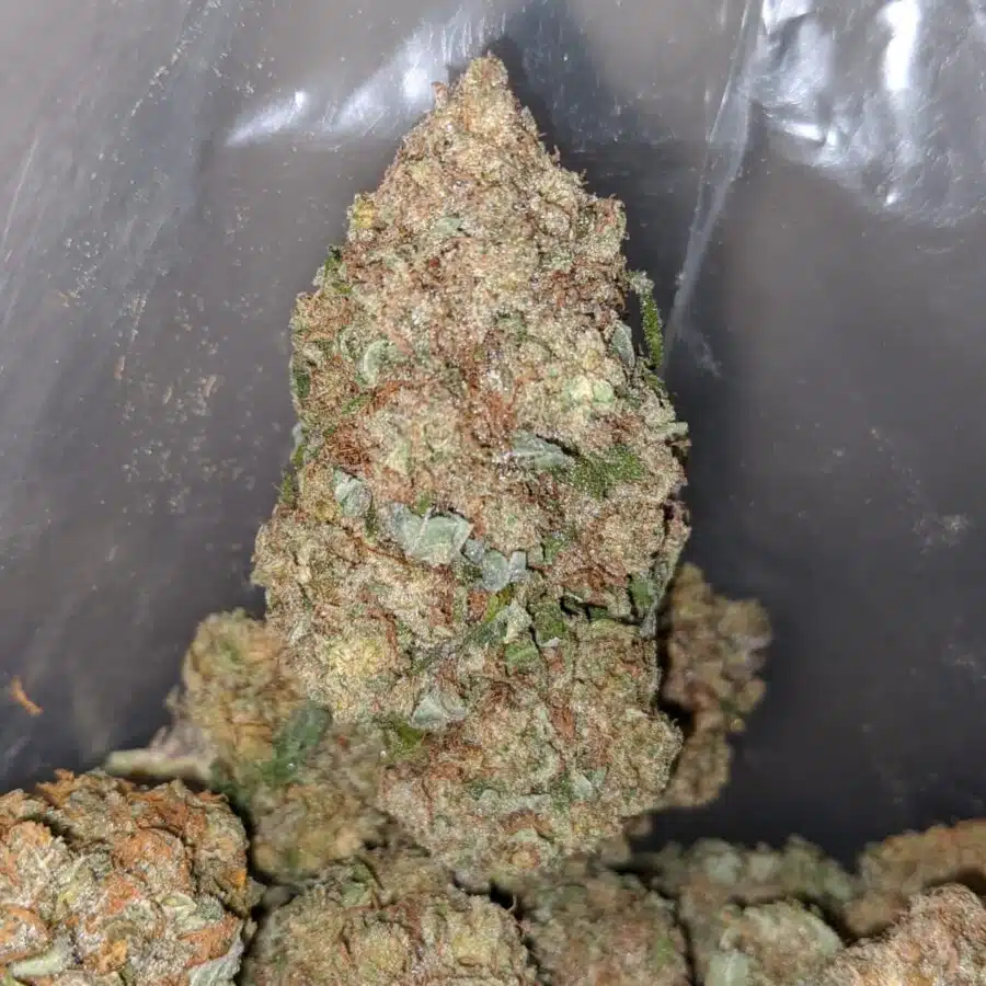 snow white 4 I $62 Oz - Snow White